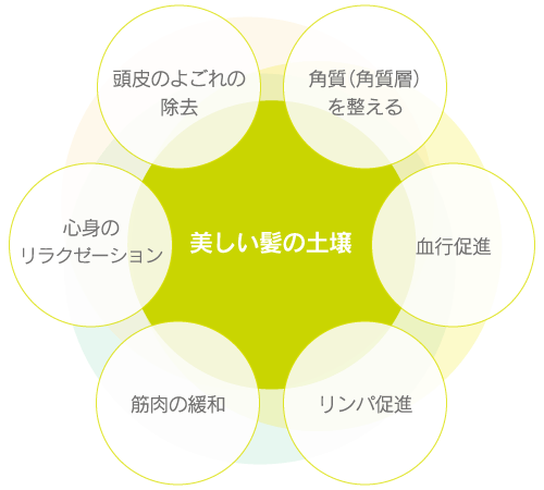 program-circle